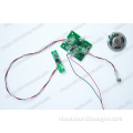 PIR Sensor Sound Chip, PIR Sound Module, Recordable Voice Module (S-3025)